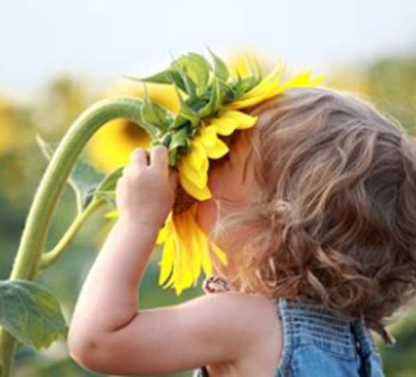 人的快乐感取决于什么?人生十大快乐感根源