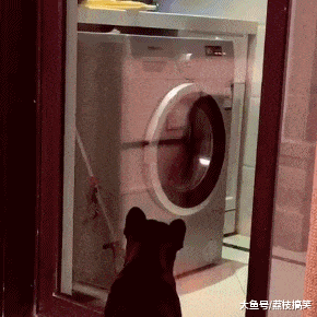 滚筒洗衣机有异响好像磨东西咋办（洗衣机有异响是什么问题）(图1)