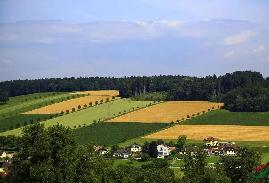 俄罗斯横跨几个气候带（俄罗斯有夏天吗）(图4)