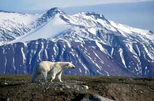 俄罗斯横跨几个气候带（俄罗斯有夏天吗）(图2)