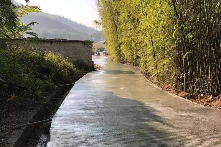 2、实施城乡道路硬底化建设工程，推动县城和重点镇、中心村通达水泥路；