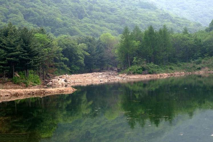 5、梅河口市满族乡森林公园