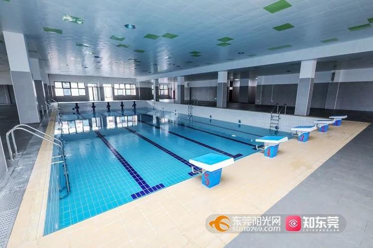 5.茶山体育学校