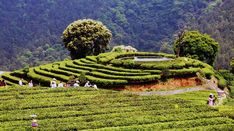 4.茶山欢乐世界