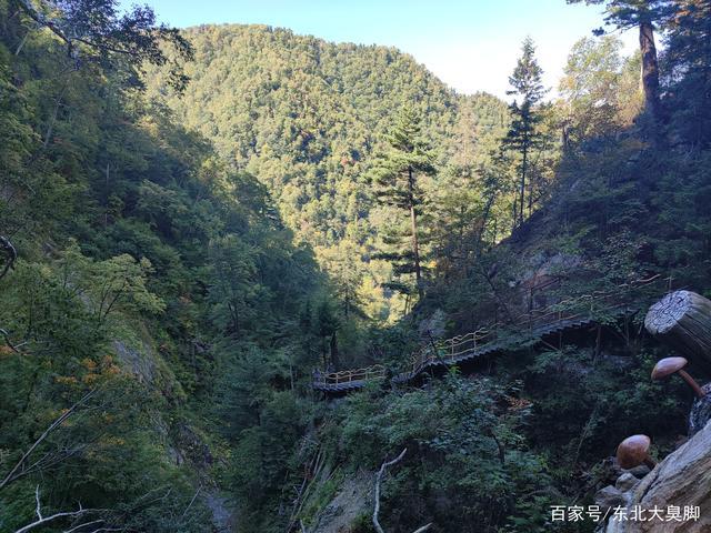 一、国家森林公园