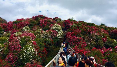 ​安顺周边自驾游推荐