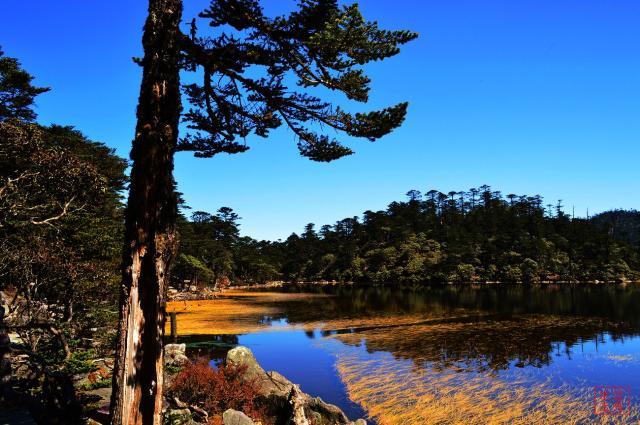 1.螺髻九十九里，这是一个位于广西罗平县的旅游景点，是一个原生态的景区。