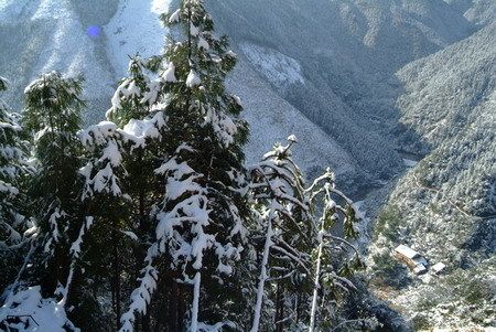 二、梅花山国家森林公园