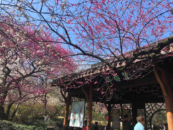 三、杭州植物园