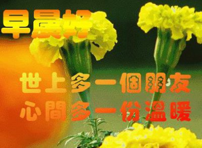 ​吃一堑长一智造句子(生活不要压力，需要的是享受！)