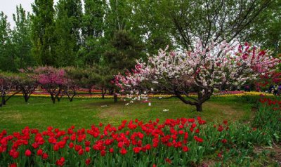 ​北京室外好玩的地方有哪些