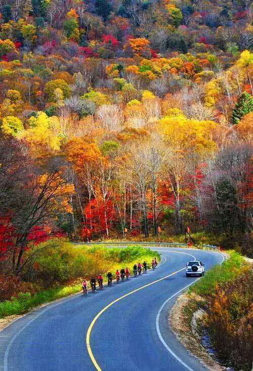 5、不去看那些风景,在路上也能很美好。