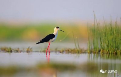 ​海宁周边自驾游推荐