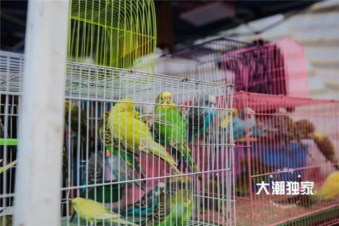 2、海宁博物馆位于海宁市中心，这里有很多文物古迹，很多东西可以看，并且可以去逛逛；