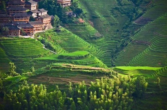 3、英德龙胜梯田