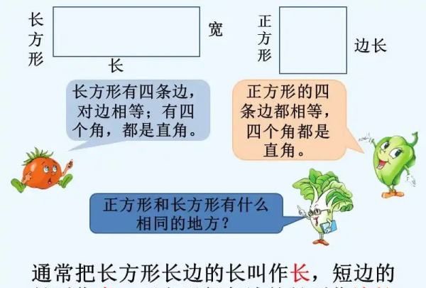 正方形的面积公式是,正方形面积公式是什么图4