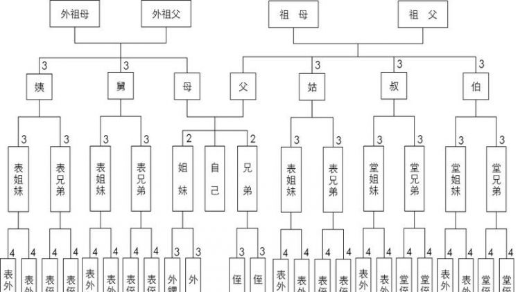 直系亲属包括哪些