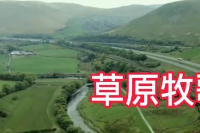 ​耍太极英文版原唱