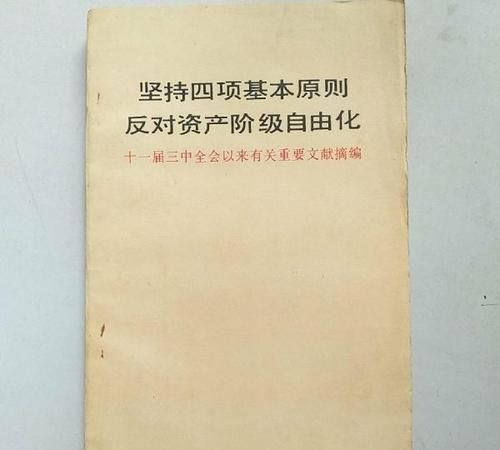 我国的基本原则和原则分别是什么