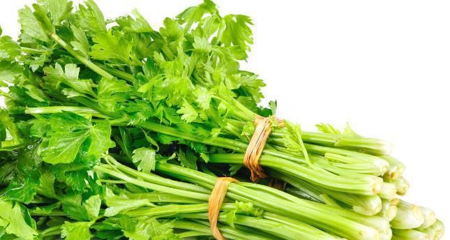 芹菜属于什么科的植物