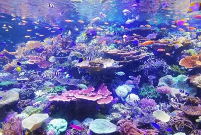 ​一海里，航速30节等于多少kmh，一海里等于多少公里？