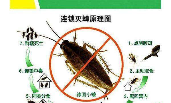 蟑螂爬到身上会怎样,蟑螂可以进入人身体吗图4