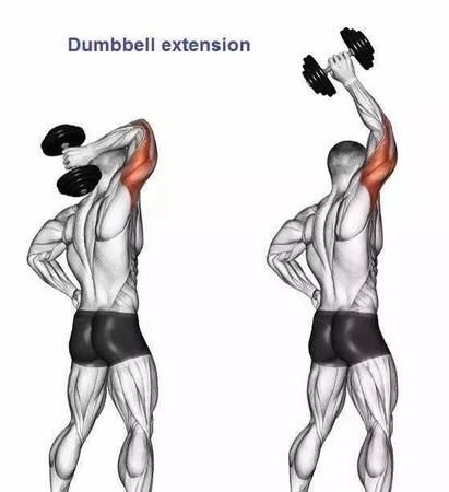 锻炼肱二头肌有什么好处