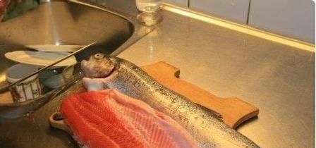 三文鱼刺身需不需要洗，三文鱼刺身中间白色脂肪层，有黑色的小点点，或者条状的东西，那是什么?卖家说是淤血，是撞的，有懂的吗？图7