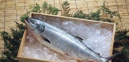 三文鱼刺身需不需要洗，三文鱼刺身中间白色脂肪层，有黑色的小点点，或者条状的东西，那是什么?卖家说是淤血，是撞的，有懂的吗？图3