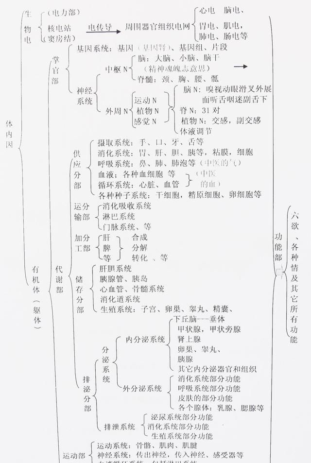 5个小妙招巧治口腔溃疡，反反复复口腔溃疡怎么办？图2