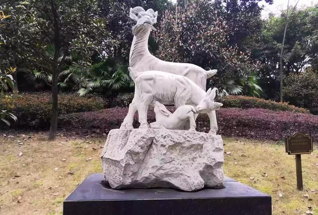 妇女节送什么礼物给妈妈，妇女节送什么礼物给妈妈最好小学生？图5