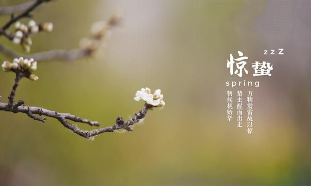 惊蛰吃什么食物,东北在惊蛰日吃什么饭?图3