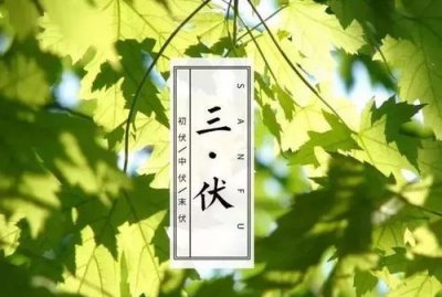 ​今年几月几号入伏,我们今年我们几月几日