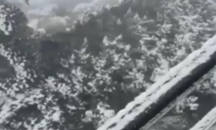 下雪发朋友圈短句,雪景发朋友圈的精美句子大全图1