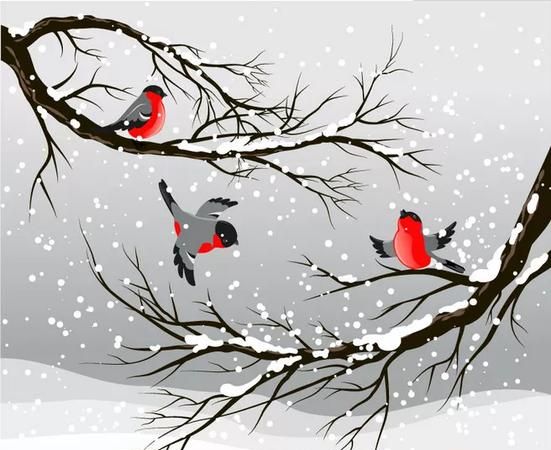 下雪后发朋友圈的精美句子4s店