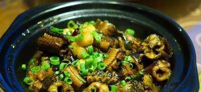 黄鳝寄生虫多,有人说野生的黄鳝会有很多寄生虫怎么回复图4