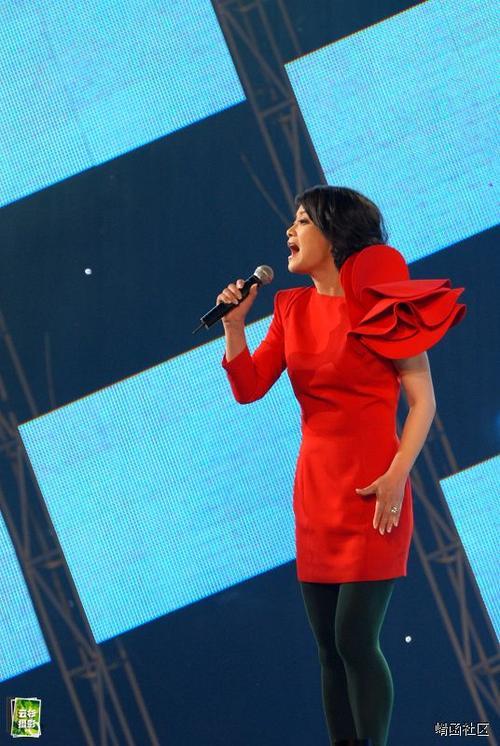 毛阿敏有几次婚姻