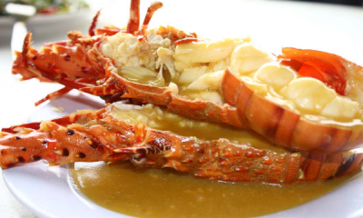 ​英国鲶鱼计划,英国计划禁止煮食龙虾、螃蟹等活物