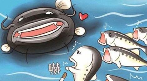 英国鲶鱼计划,英国计划禁止煮食龙虾、螃蟹等活物图4