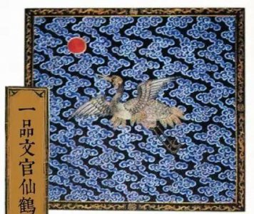 ​孔雀是飞禽还是走兽，“衣冠禽兽”诞生之初是赞美人的，为何后来成了贬义词？