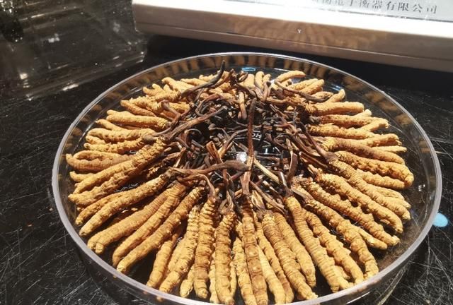 冬虫夏草是什么东西，冬虫夏草是什么东西？是虫子么？图3