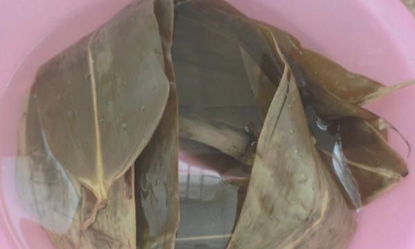 西米粽子的做法和包法，西米粽子的做法和包法？图11