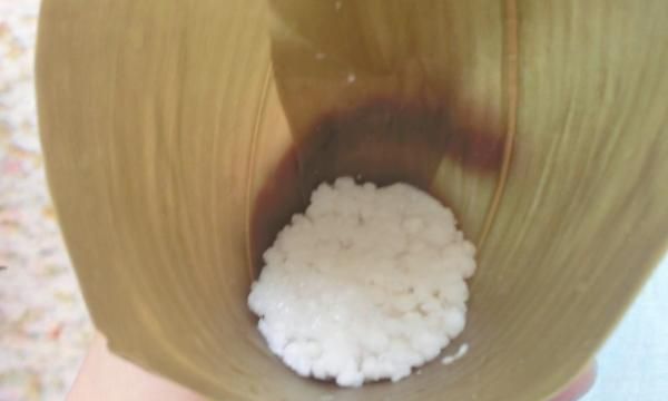 西米粽子的做法和包法，西米粽子的做法和包法？图14