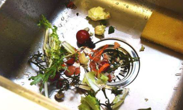 如何去除家中蟑螂,家里的蟑螂可以杀死吗图5