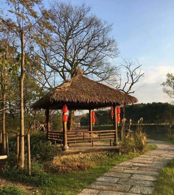 池州杏花村的由来,牧童遥指杏花村中的杏花村指的是图6