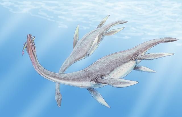 什么鱼能在陆地生活还能爬树，什么动物爬树又吃鱼？图6