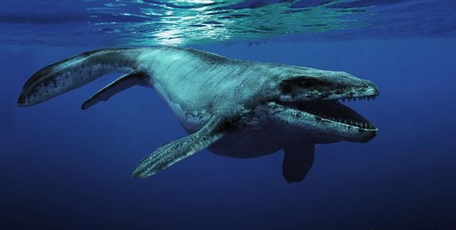 什么鱼能在陆地生活还能爬树，什么动物爬树又吃鱼？图7