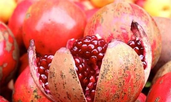 秋天成熟的水果有哪些