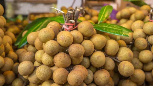 圆肉功效与作用,桂圆肉的功效与作用是什么图2