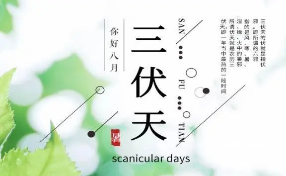 什么时候进二伏天,今年一伏二伏三伏是什么时候图1